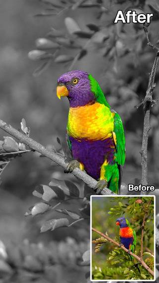 Color Recolor Effects Pro