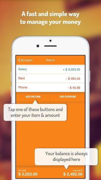 Budget, Balance, Finance- Fudget