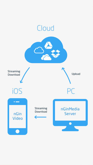 nGinVideo