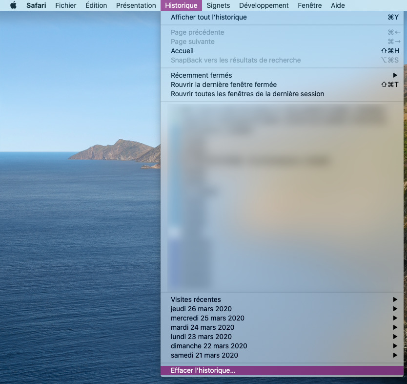 Effacer l'historique et les cookies de Safari sur Mac