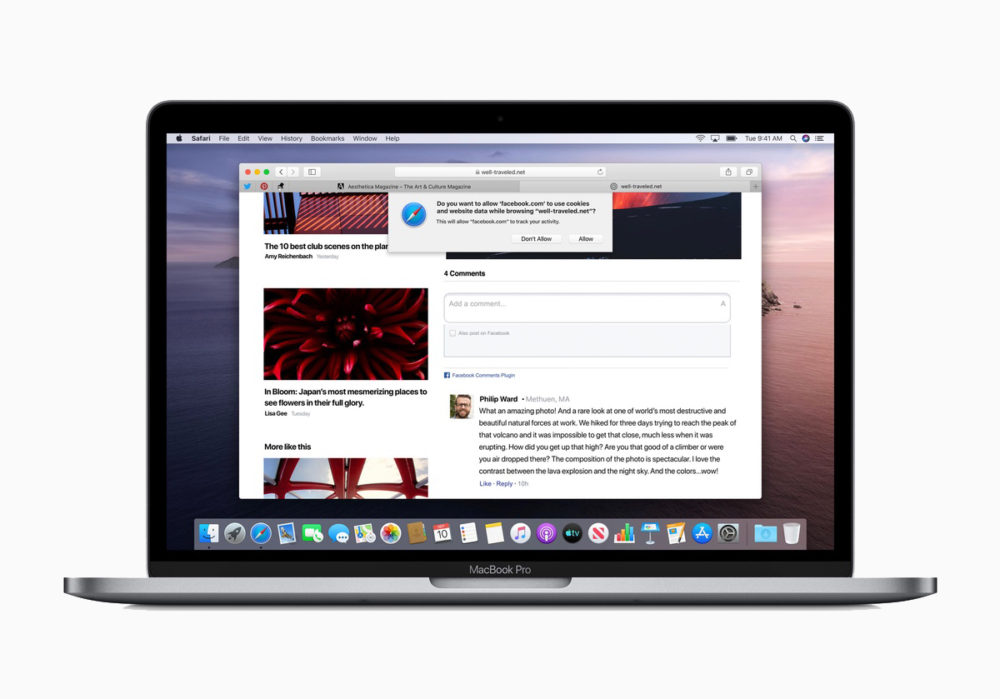 Safari 15.6.1