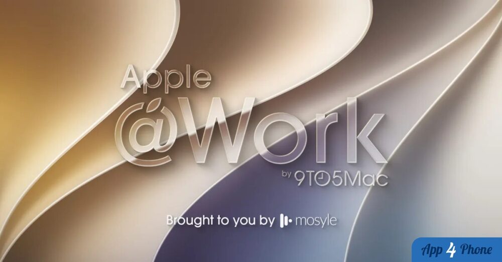 Illustration : Understanding Apple Business Manager roles and permissions