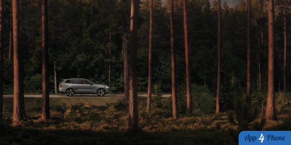 Volvo roulant dans une forêt de pins au coucher du soleil